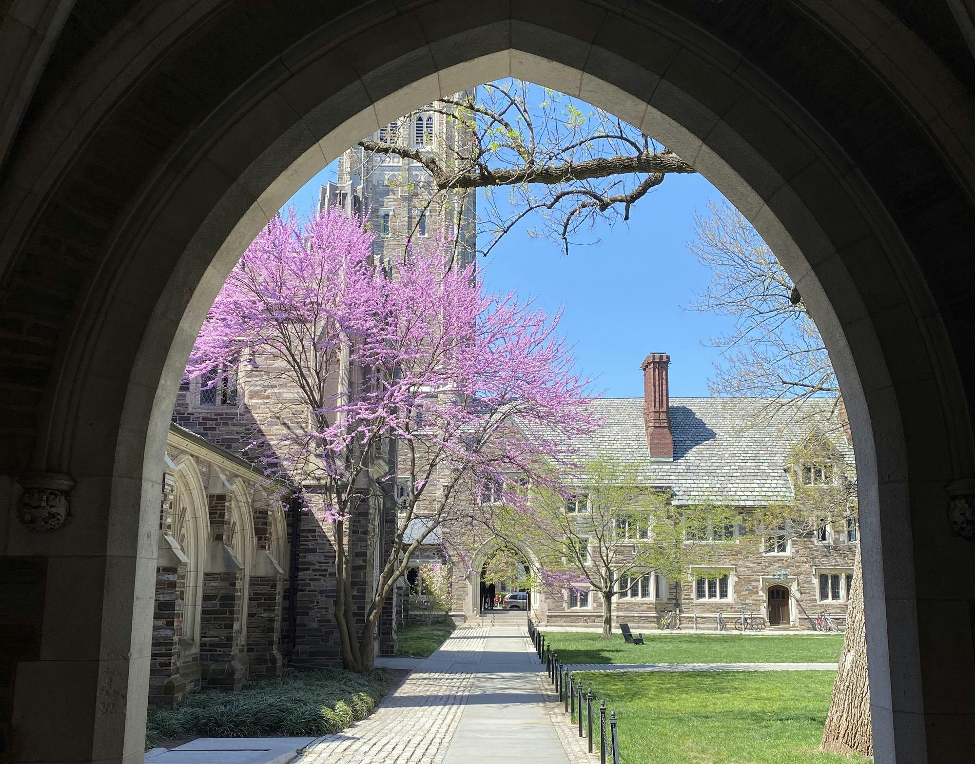 An archway overlooks a courtyard with tress. 