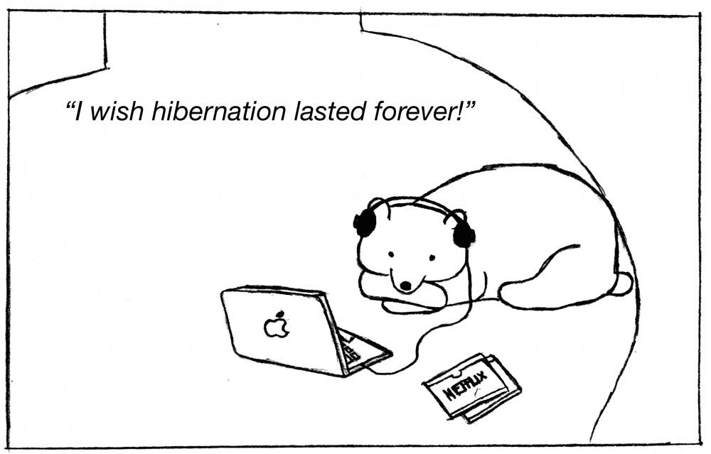 _How Hibernation Works,_ Dave Shin '18