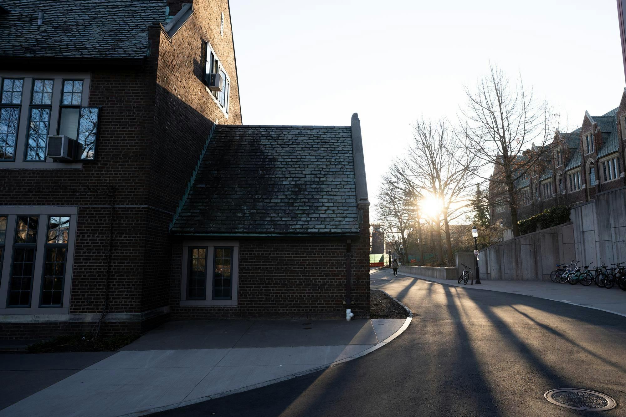 Sun peeking from behind trees near a road, with buildings on both sides.