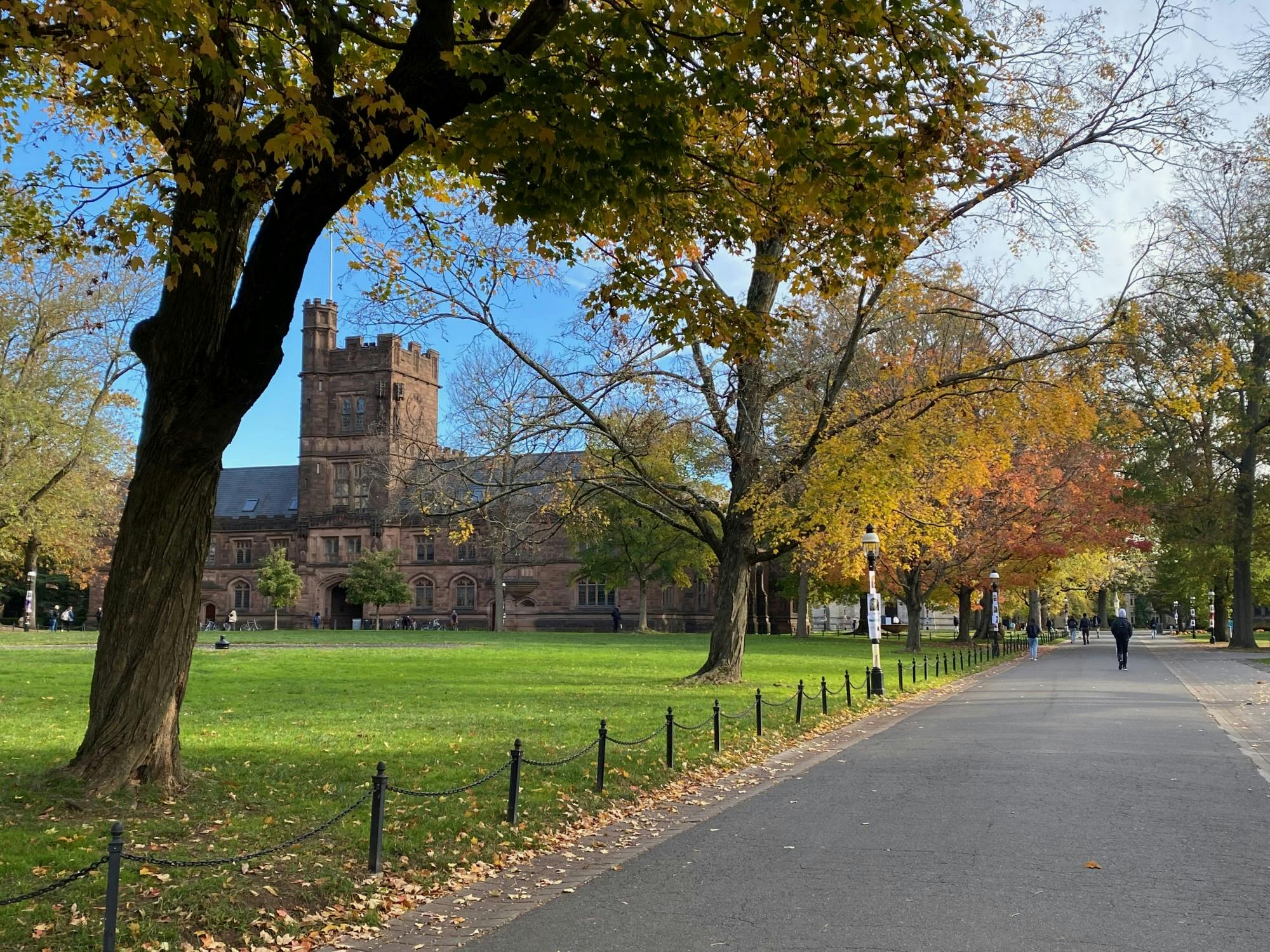 Empty Niches - Photo 1.jpeg