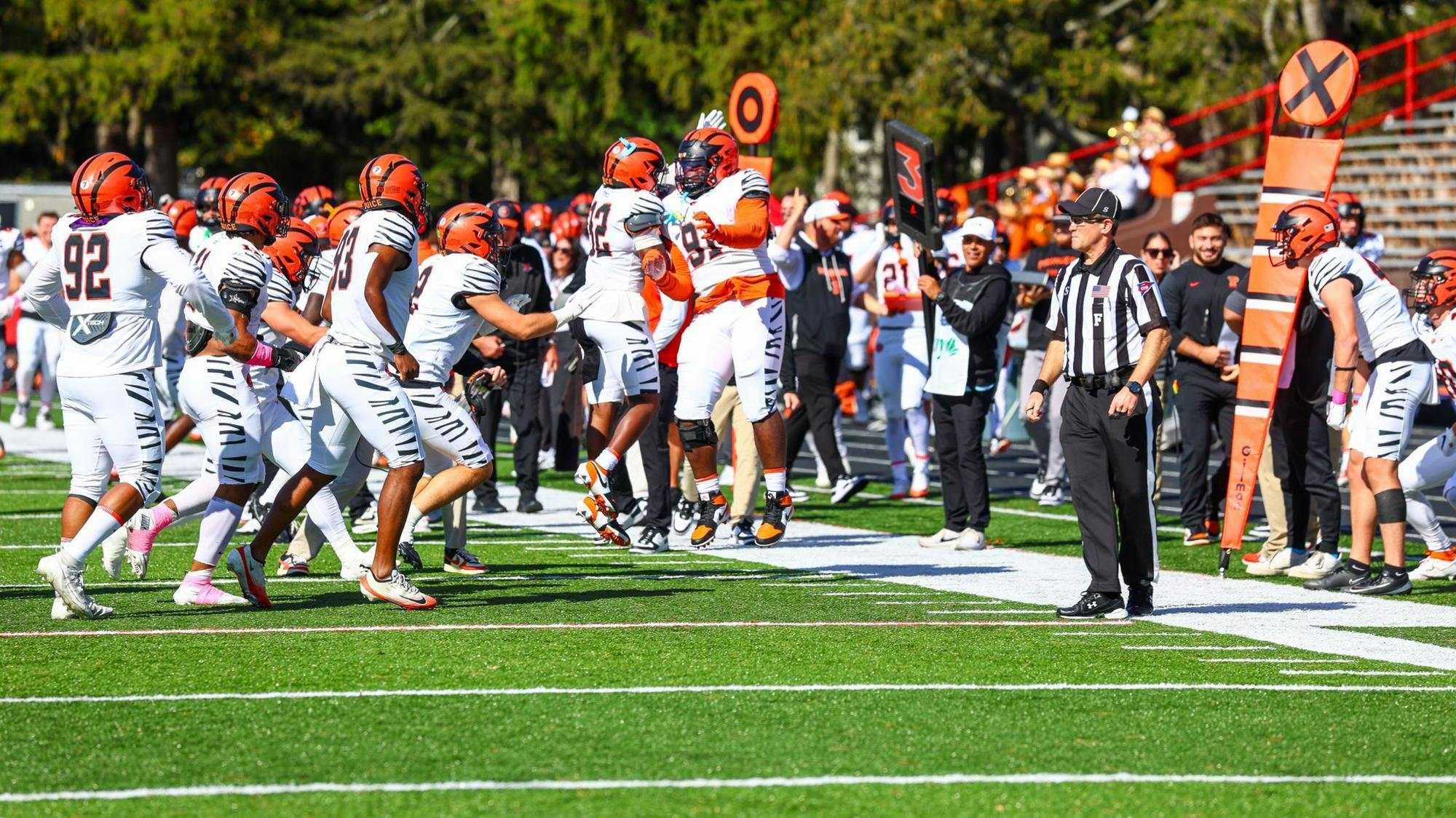 Football players celebrating on field near sideline.