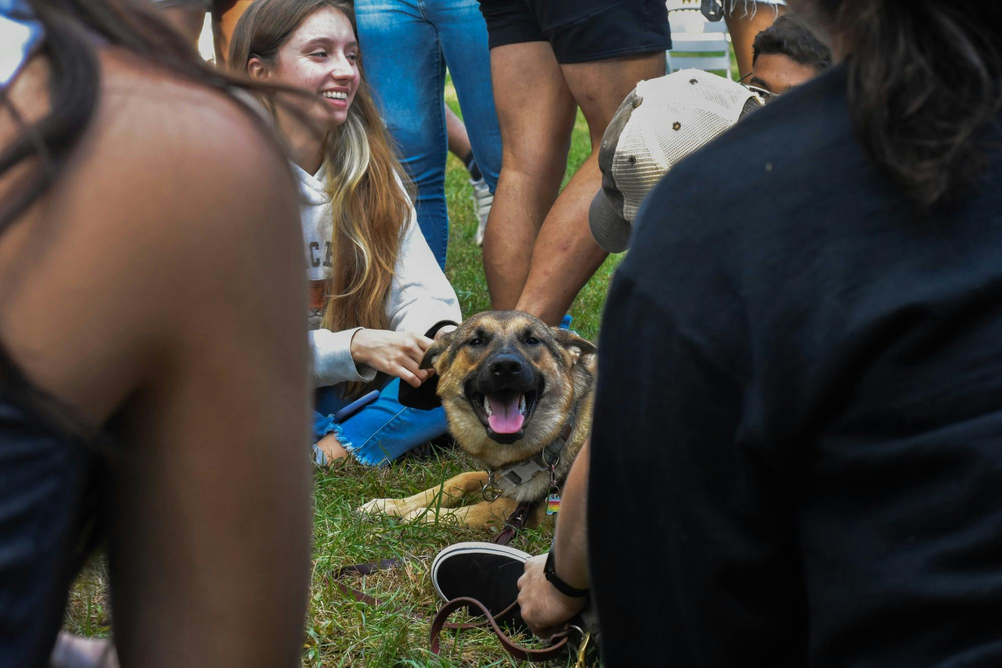 _doggy distraction Angel Kuo.JPG