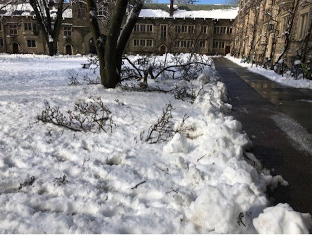 snow