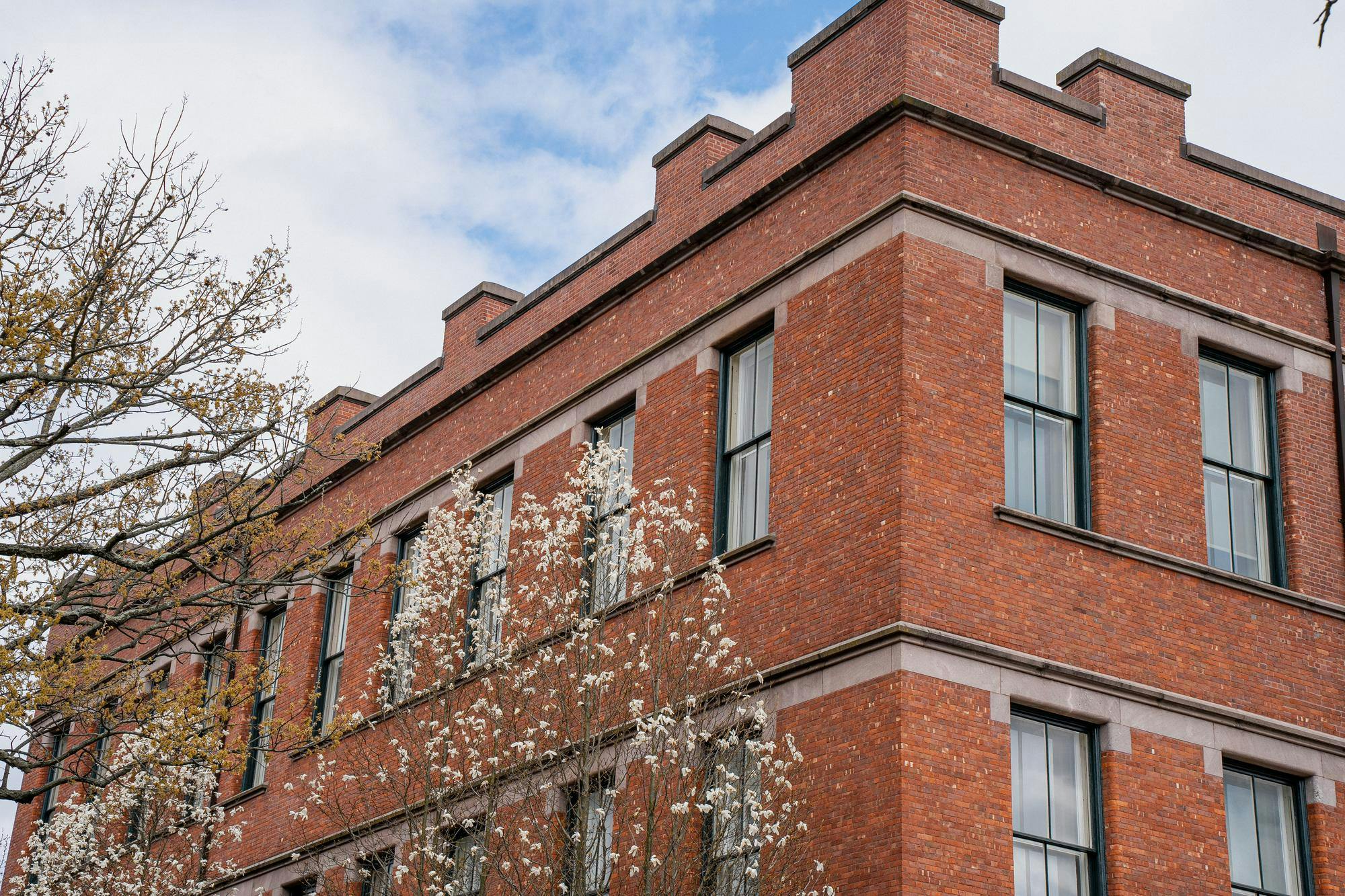 An orange brick building sits below a light blue sky. In the foreground, a tree with white flowers blooms.