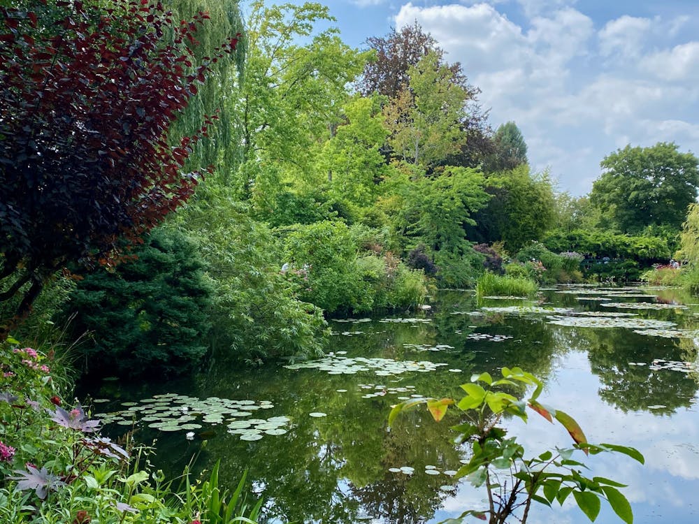 Monet's Pond at Giverny  - JPFG Dispatch Part 1.jpeg