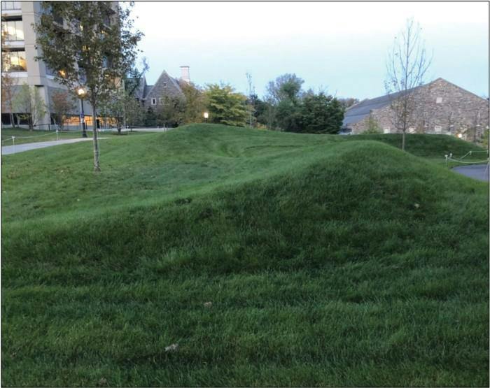 Photograph of Maya Lin's earthwork installation of hills covered in grass