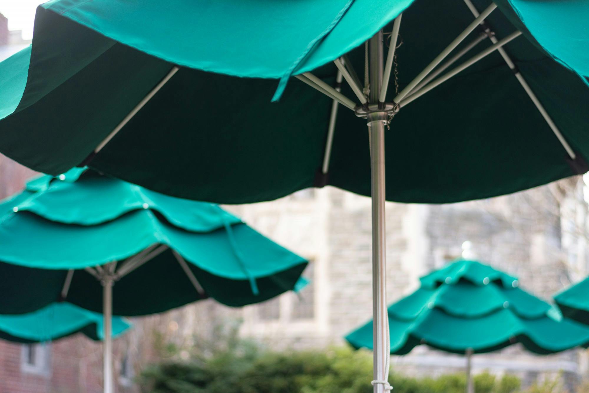 _Umbrellas Julian Gottfried DP.jpg