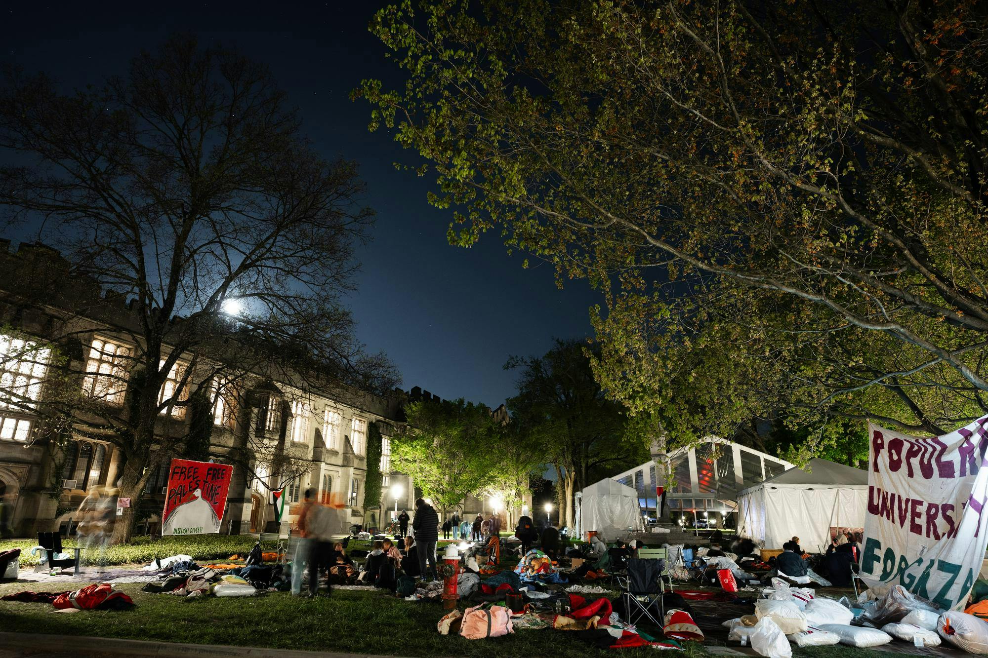 McCosh courtyard in the dark night, with various protestors and their belongings like bags and coats, as well as signs hung from trees that say "Free Free Palestine" and "Popular University for Gaza."