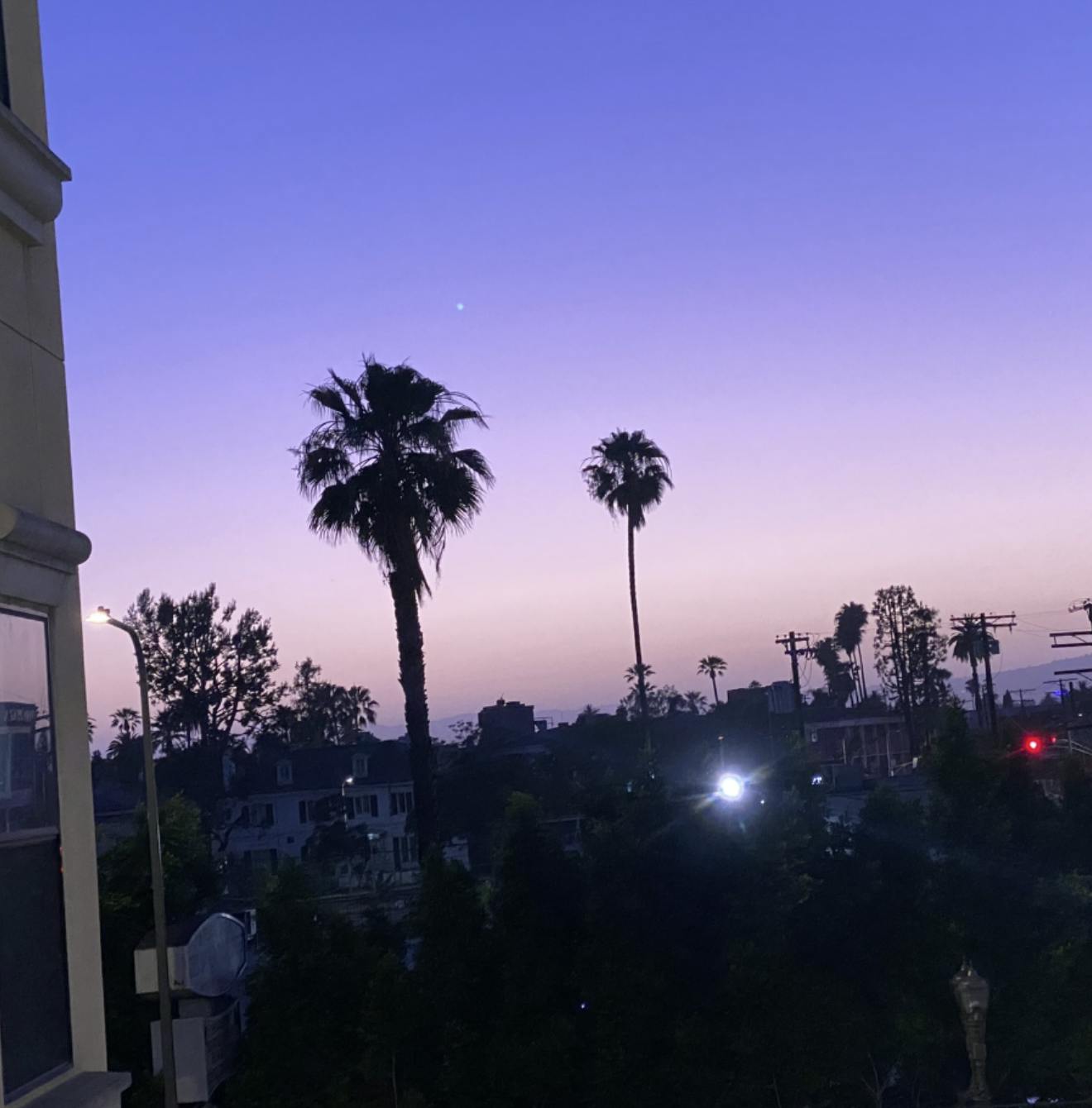 claire shin dom media.png