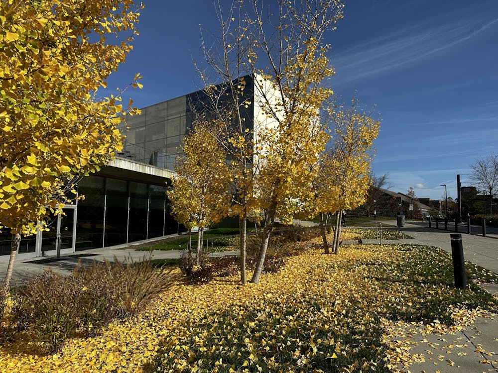 yellow-trees-zoe-berman-no-caption.jpeg