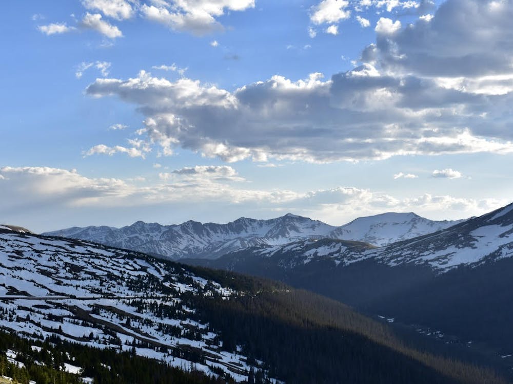 Carter dispatch image (4).png