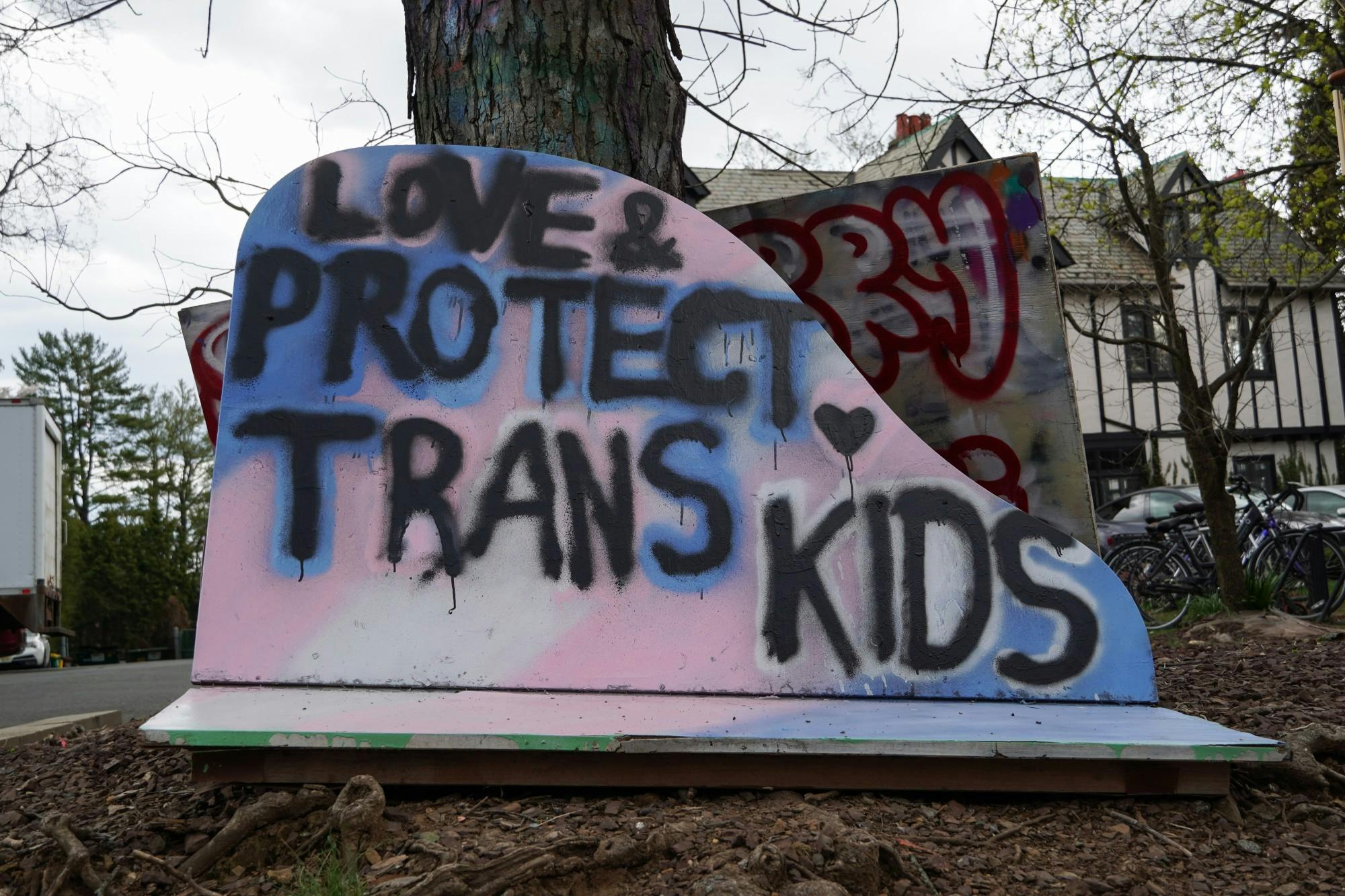 Sign2_Louisa Gheorghita.jpg