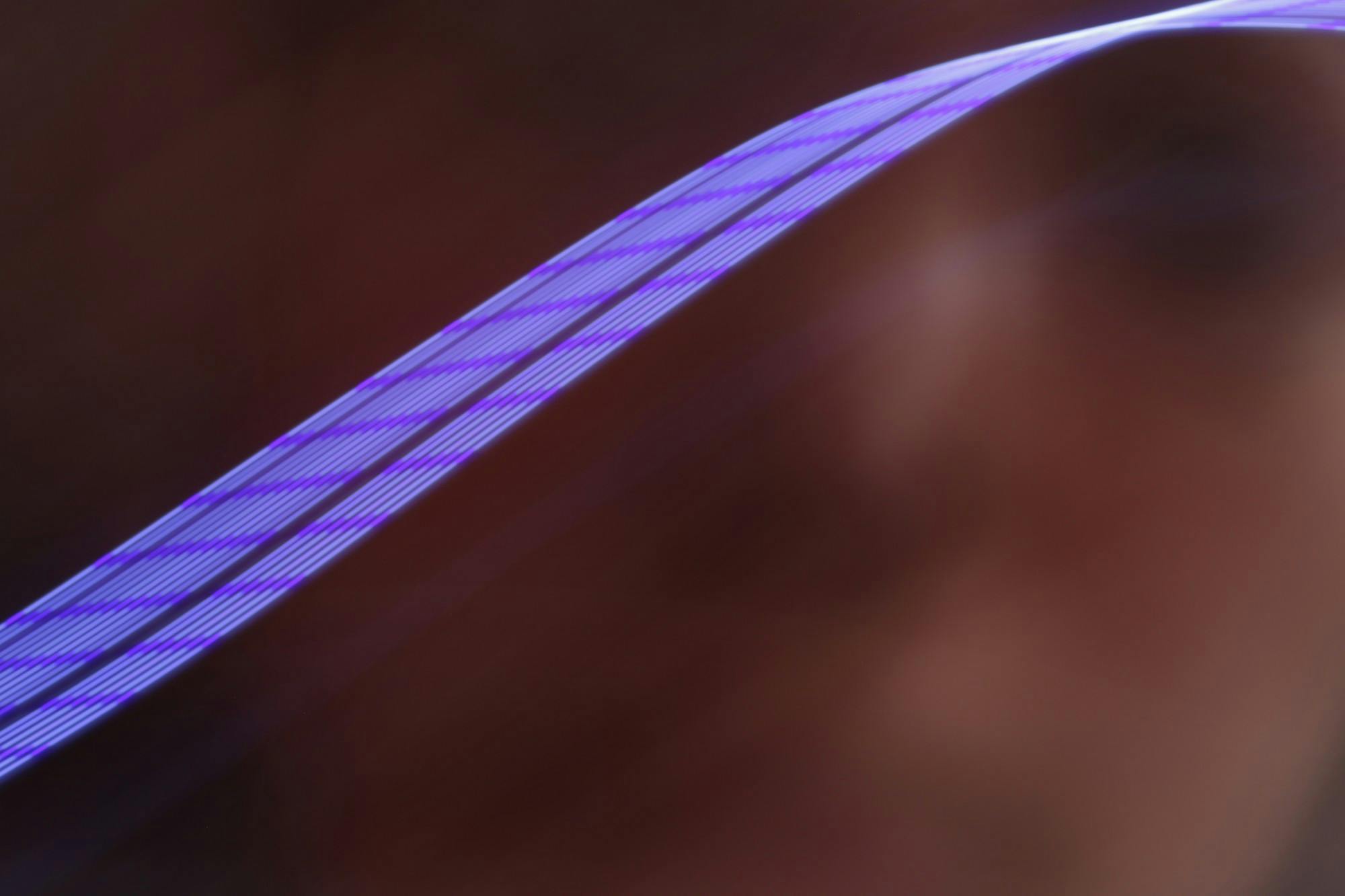 lauren olson photograph