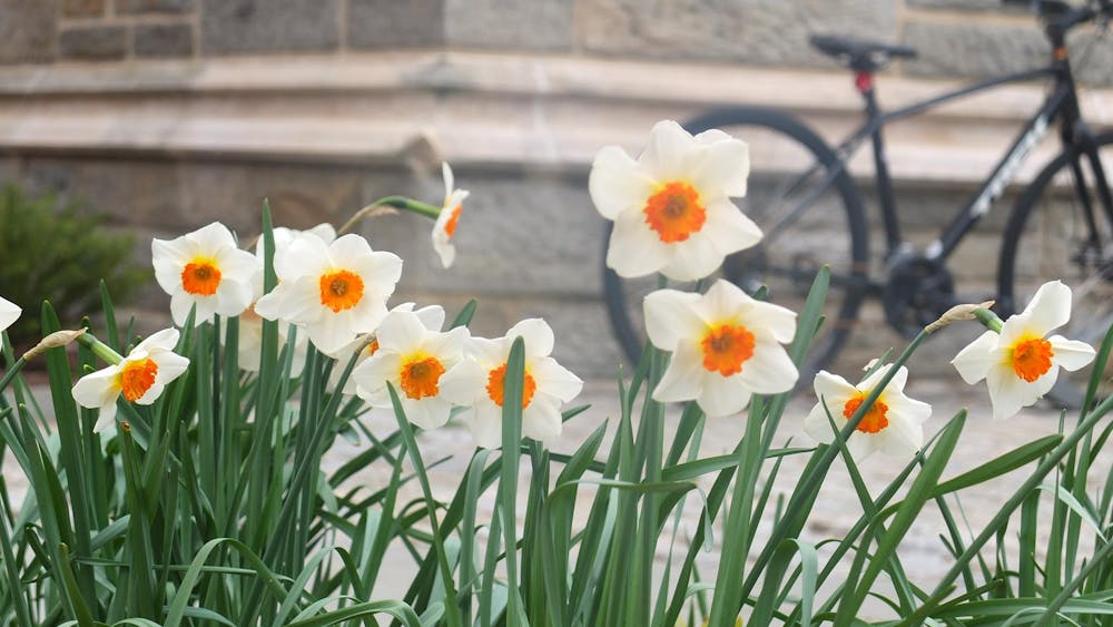White Flowers at Firestone - MC McCoy (3_29_25).JPG