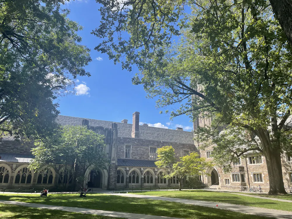 Sunny Rocky Jun.jpeg