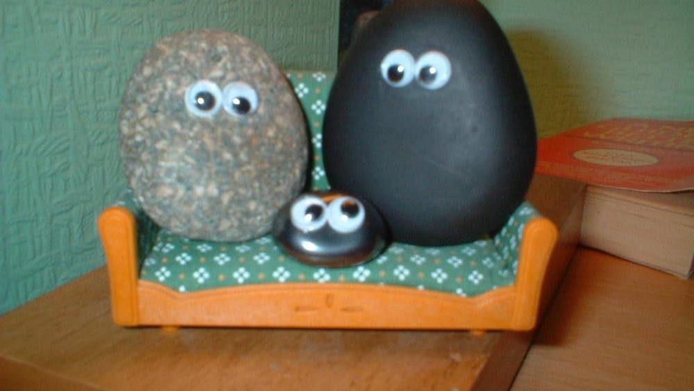Pet_rock_humor.jpg