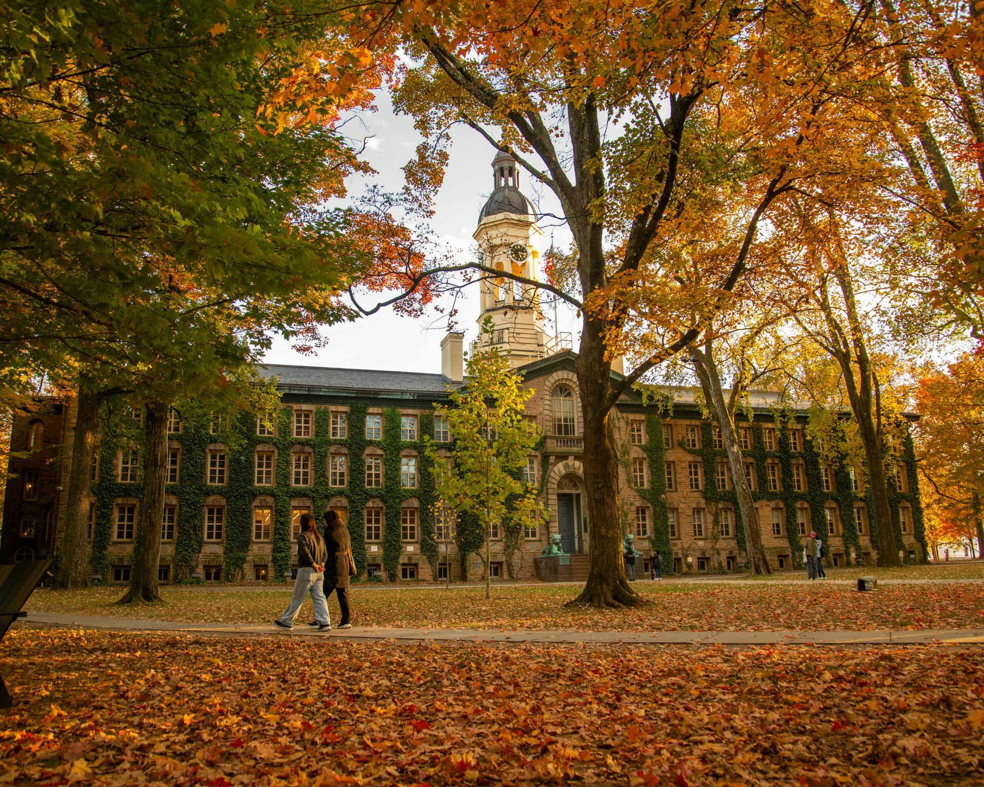 a rectangular building emerges from a field covered in leaves, surrounded by trees  
