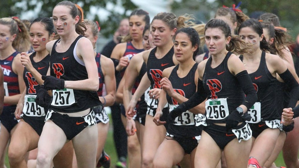 xc