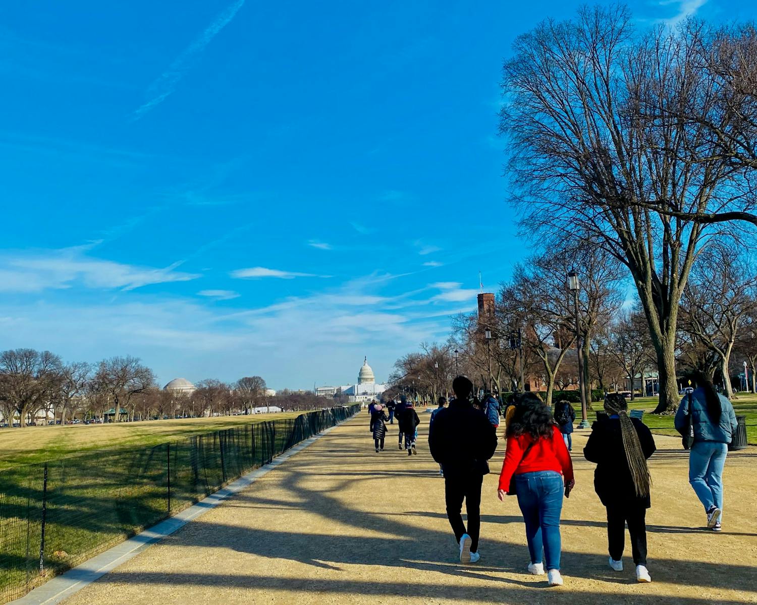 From New York To Washington D C A Wintersession Photo Essay The from-new-york-to-washington-d-c-a-wintersession-photo-essay-the