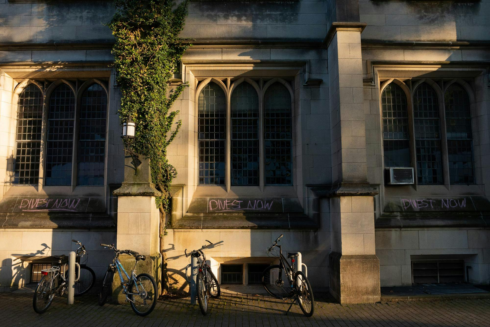 Three chalk drawings on a wall read "divest now"