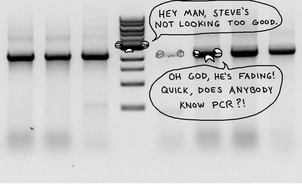 Faint Bands Jon Robinson-1