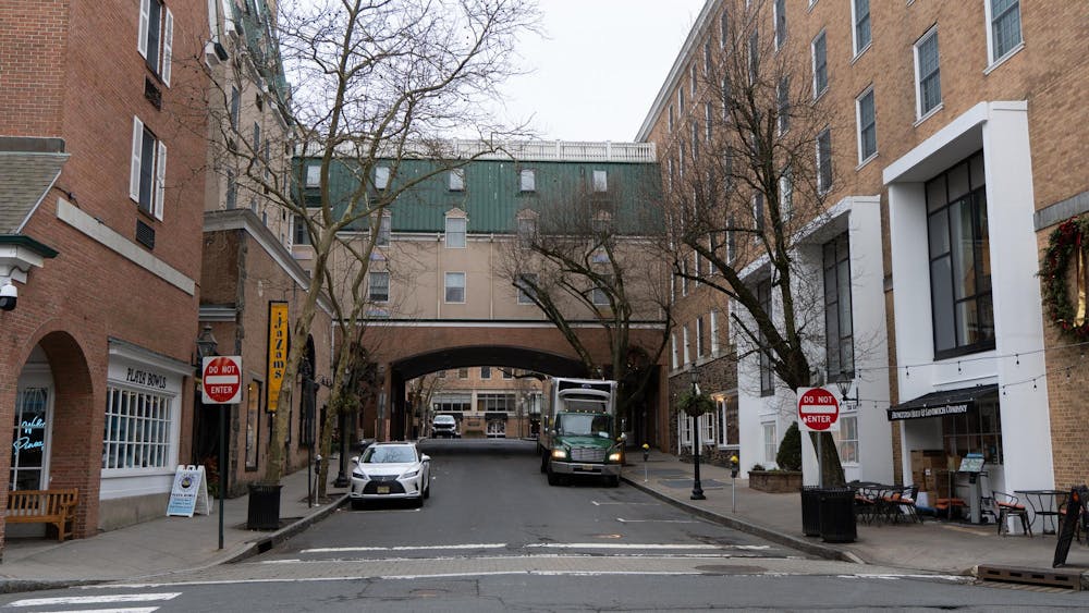 A street that lies between various business establishments and apartment buildings in the town of Princeton.