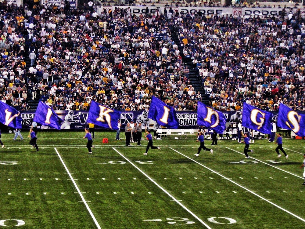 The Minnesota Viking Flag Runners
“The Flag Runners” by Tiger Girl / CC BY 2.0