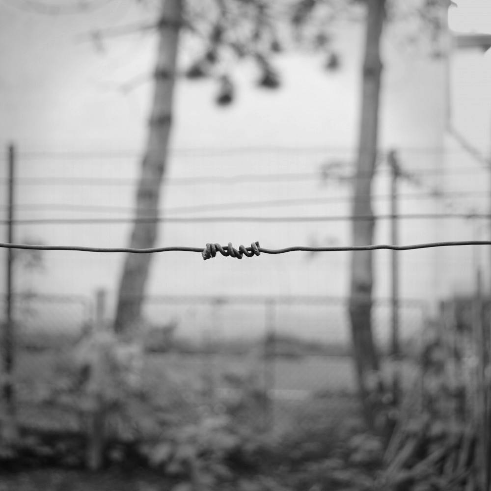 barbed-wire-black-and-white-depression-341117