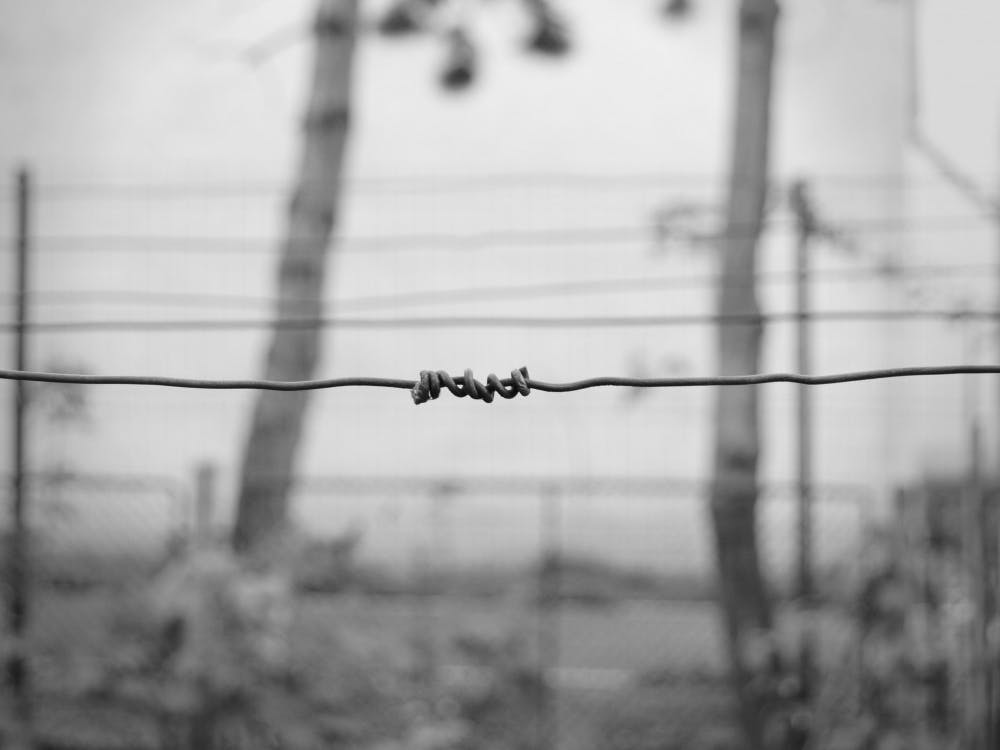 barbed-wire-black-and-white-depression-341117.jpg