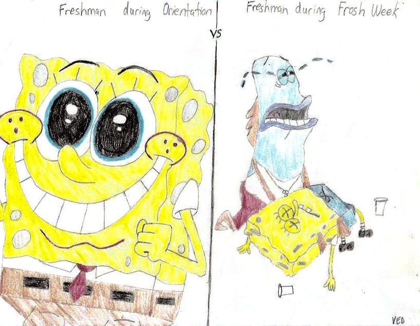 Freshman during Orientation vs Freshman during Frosh Week