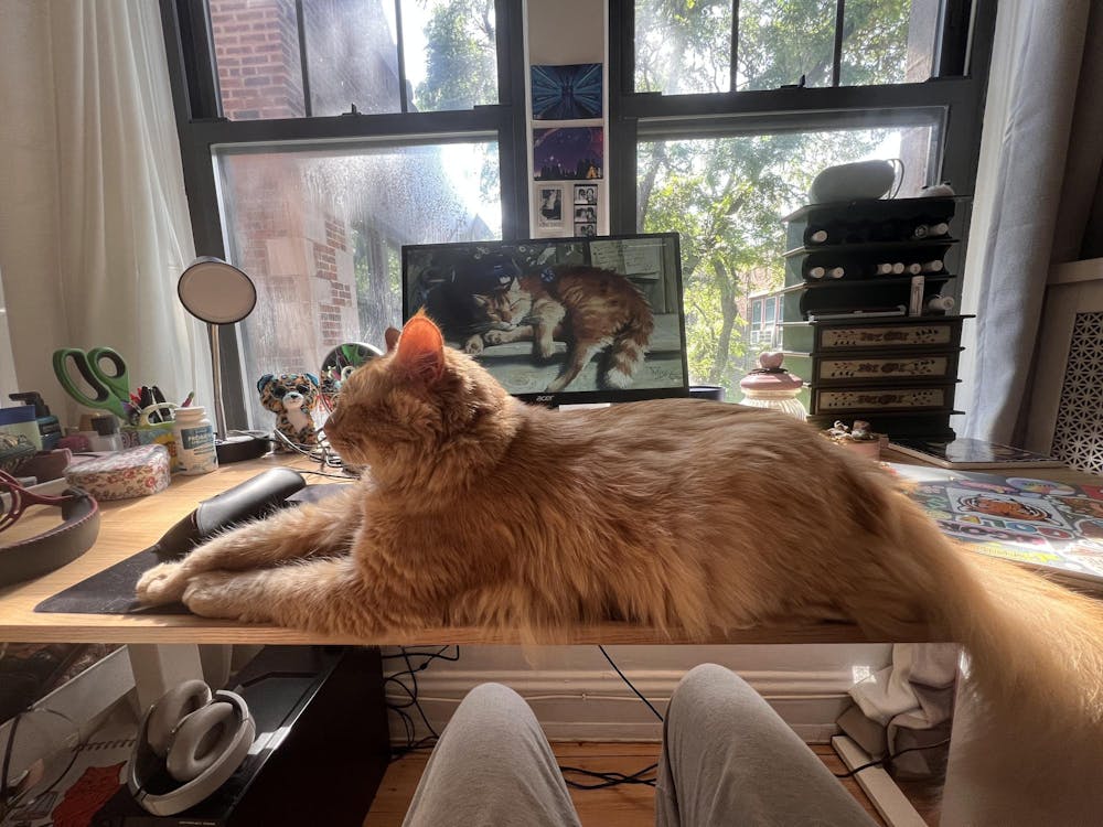 An orange cat rests sideways on a desk. Behind the cat is a computer with a picture of the same cat as the homescreen. In the background, a window reveals a glimpse of brick buildings and green trees.