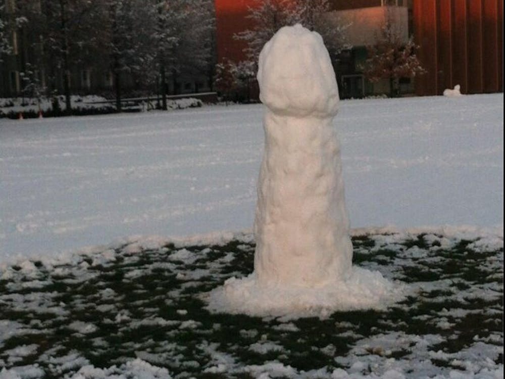 Princeton snow penis
