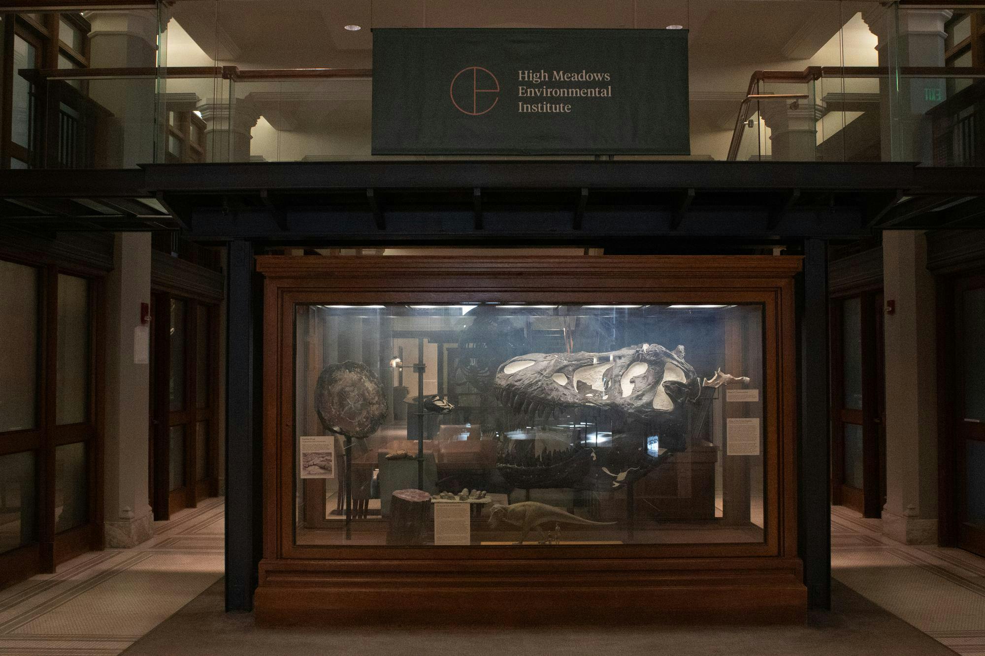 Photo of a High Meadows Environmental Institute banner above a display case of fossils.