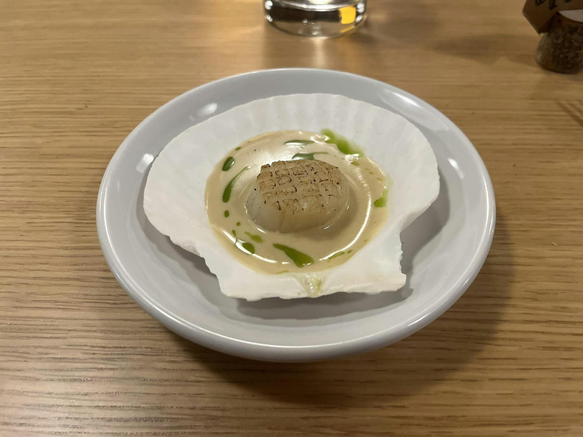 A white shell sits on a white plate with a white scallop covered in off-white cream sauce.