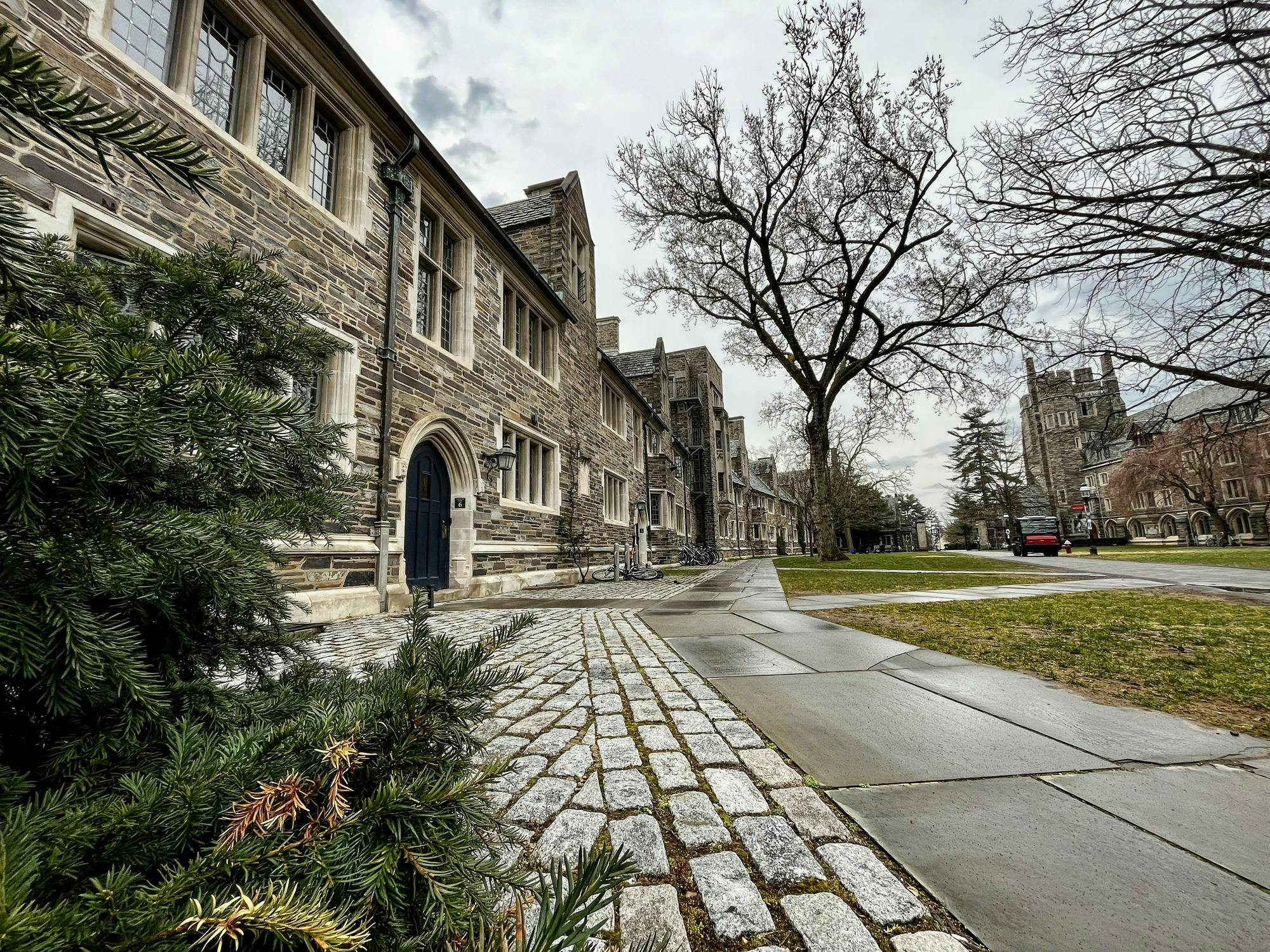 A stone path is partially obscured by a green bush and runs slightly parallel to a dorm.