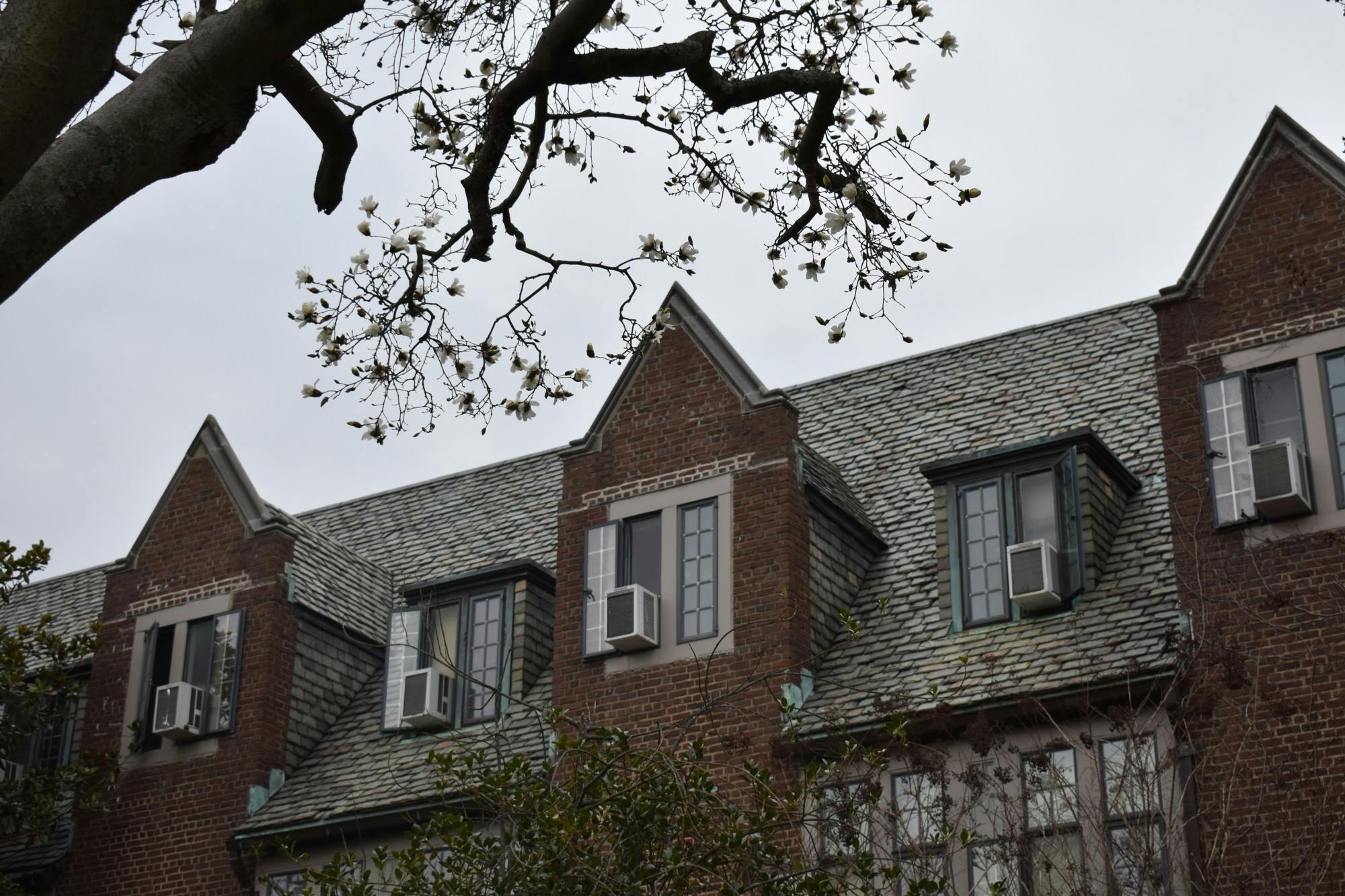 mccosh s1 Mark Dodici _ DP.JPG