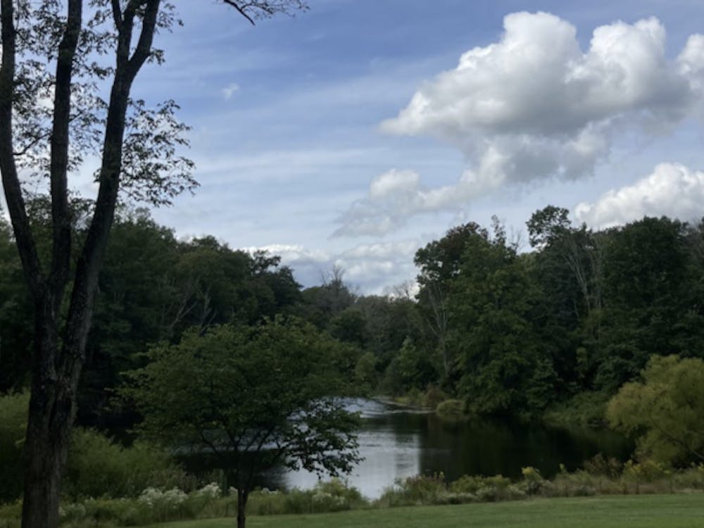 A forest of green trees sits next to a blue lake below a blue sky with some white clouds. On the left, there is a three-pronged tree with brown bark.