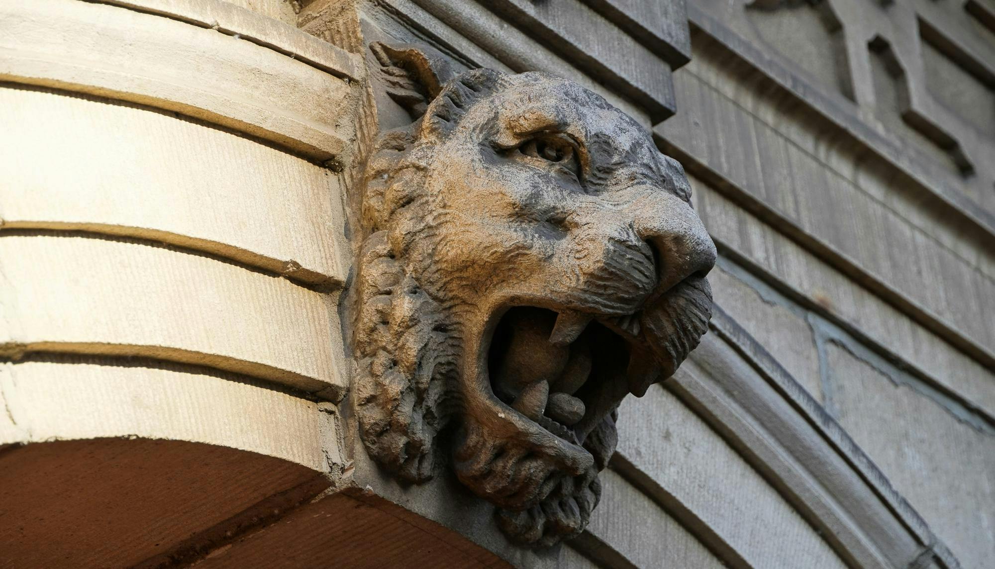 A stone lion gargoyle with an open mouth showing its teeth.
