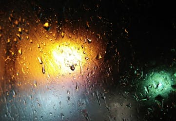 daniel in the mood for love art.png