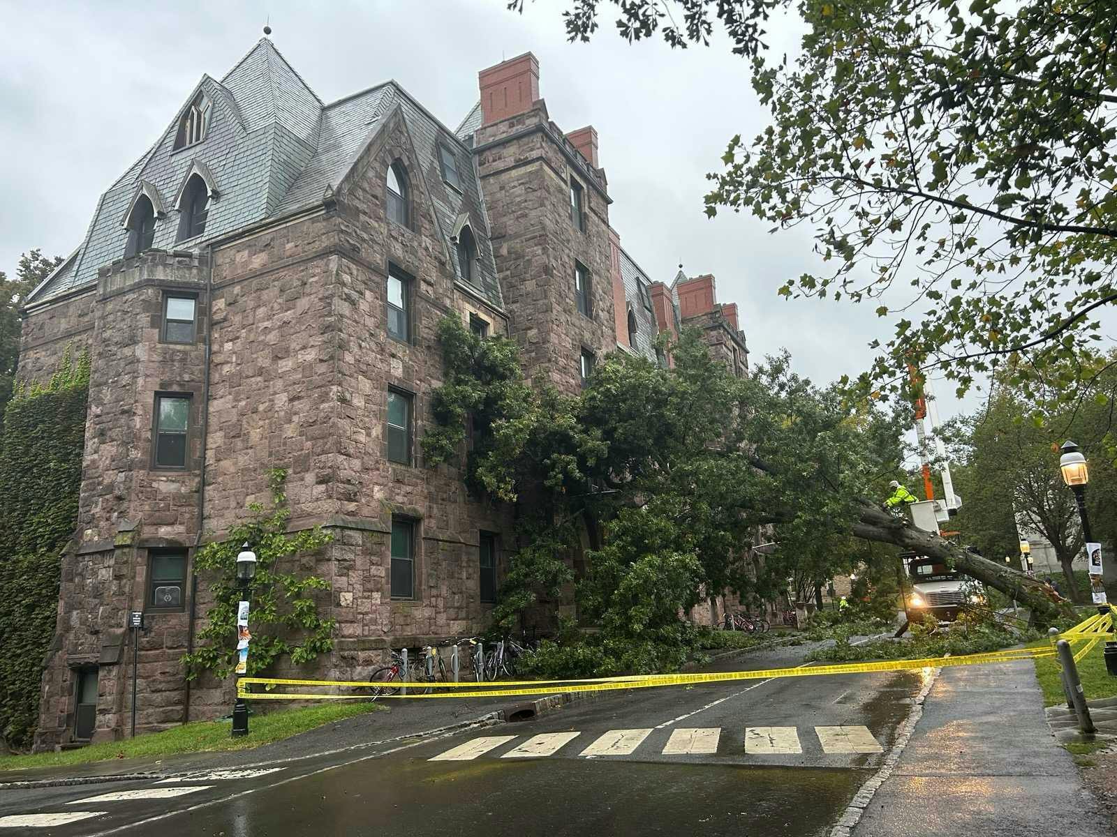 Edwards Hall in the foreground, with a large tree fallen on the right side of the building across Elm Drive. 