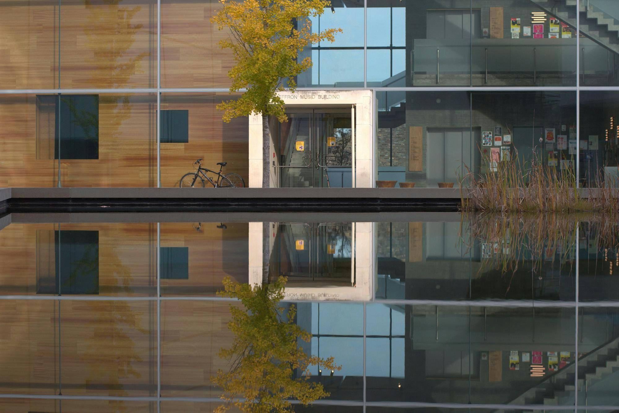 A tree and glass building reflect over a pond of water.