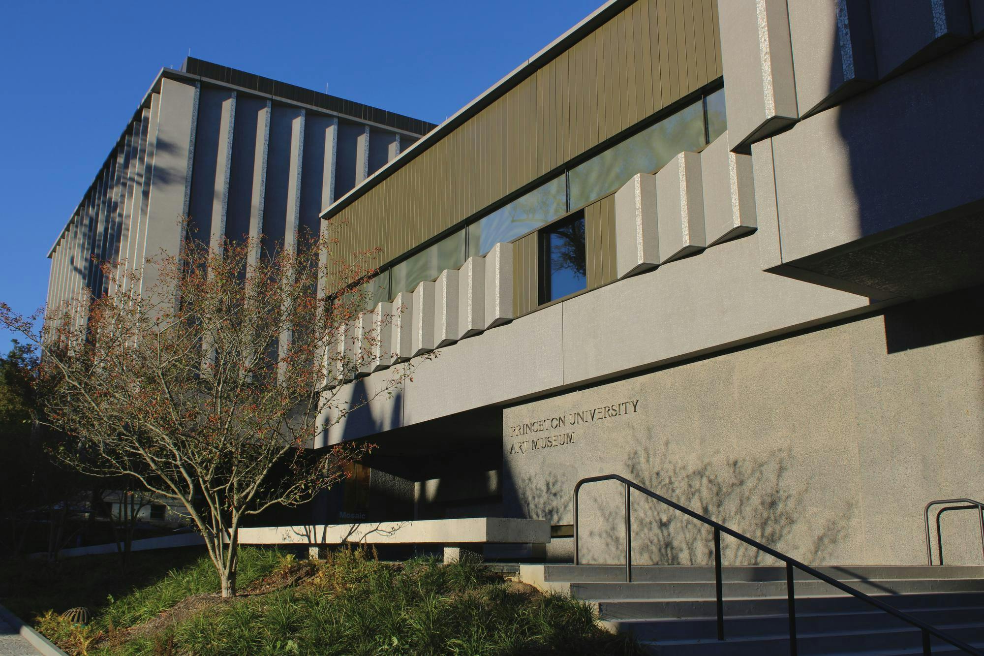A grey, stone building with steps leading up to it on the right and a tree in front.