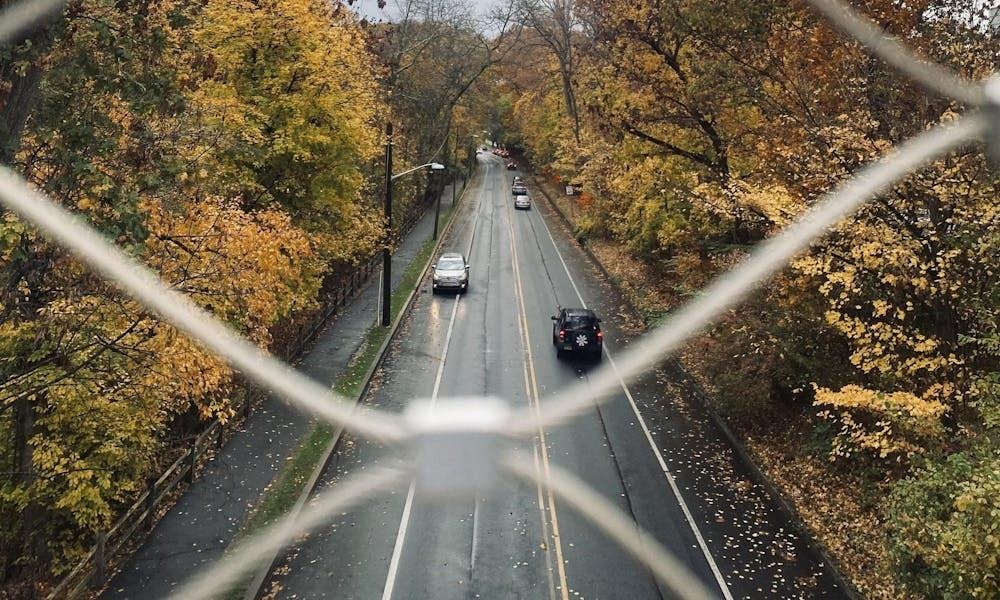 Vista aérea de una larga carretera bordeada de árboles frente a un cielo gris.
