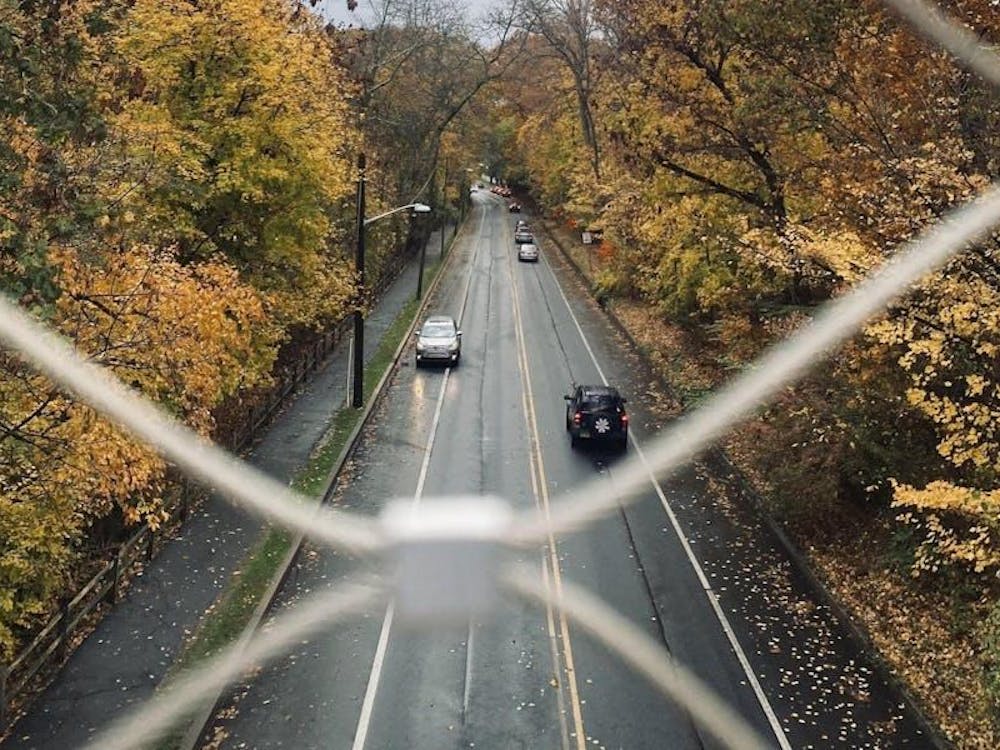 Vista aérea de una larga carretera bordeada de árboles frente a un cielo gris.