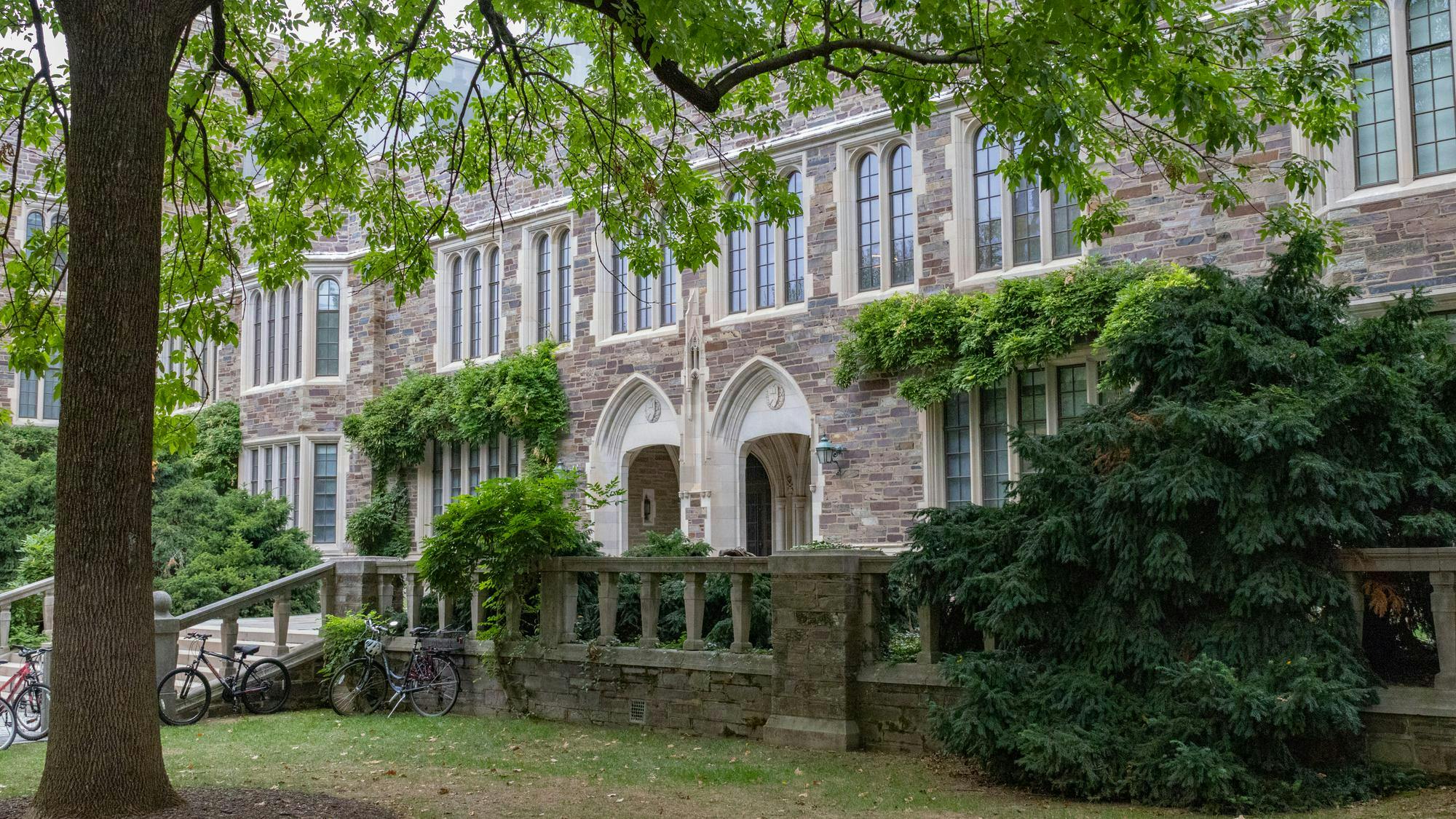 Stone, gothic building with two main arches and greenery growing on its walls.