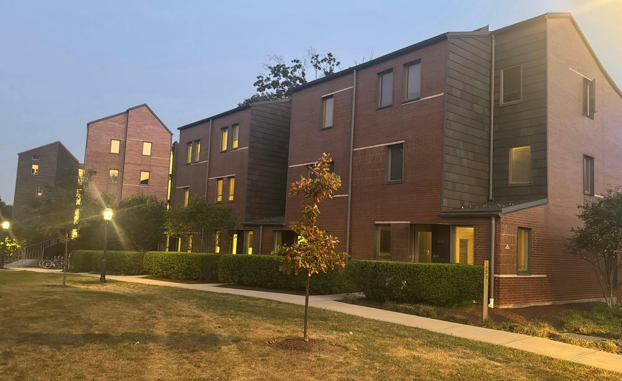 A few sparse trees in front of a row of red brick apartment buildings.