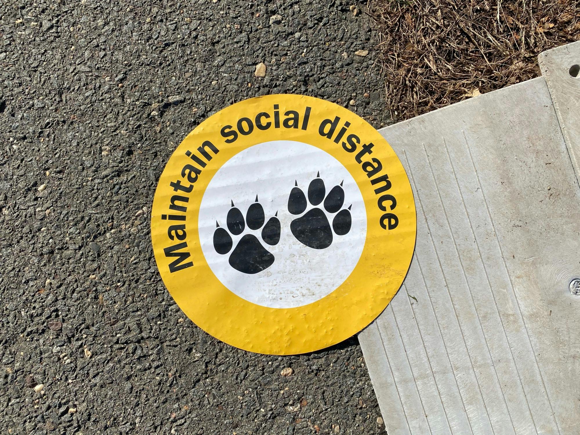 Maintain Social Distance sign