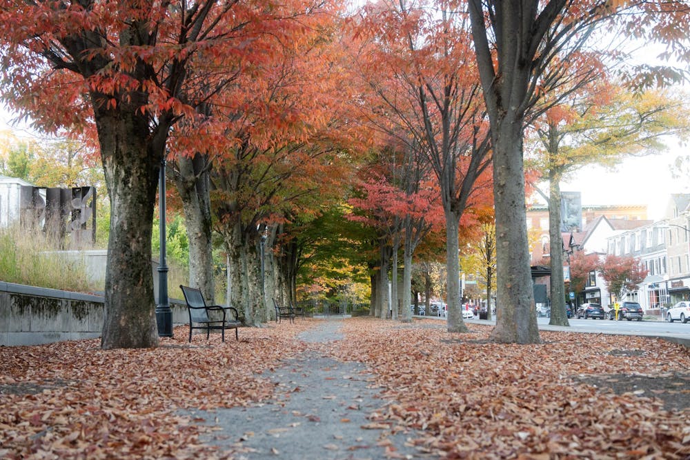 Walk Near Nassau St. 2 - Gheorghita (10_25_24).jpg