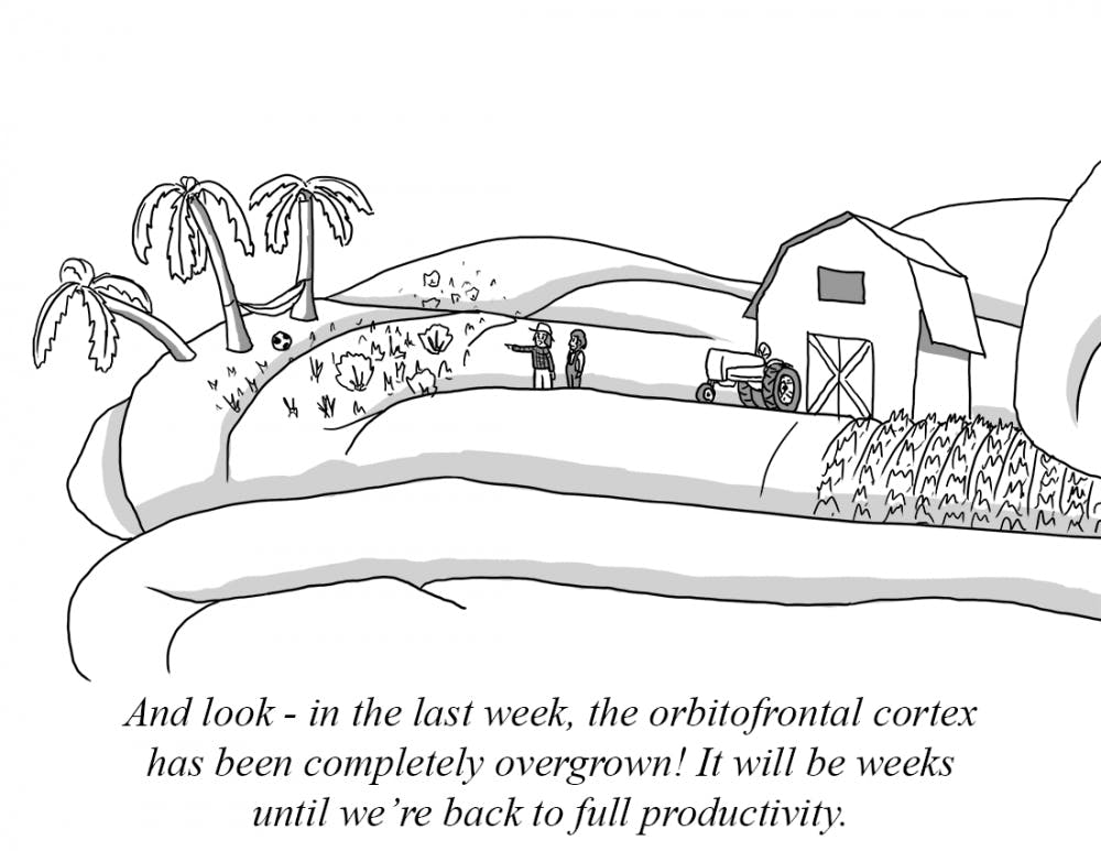 Your Brain on Vacation