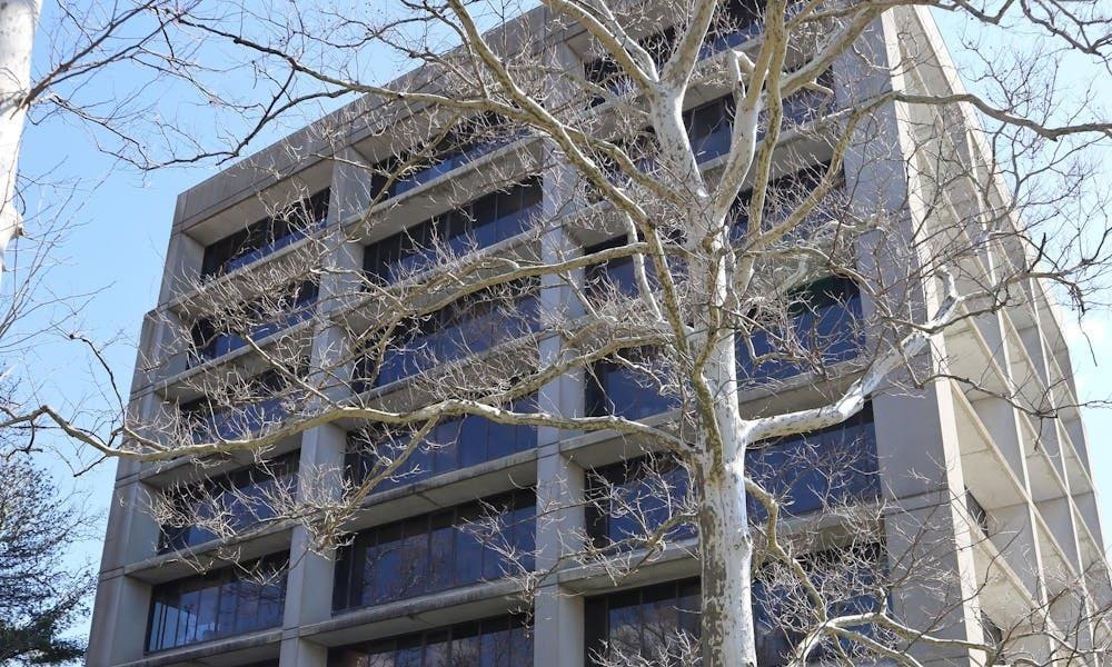 Un abedul en primer plano con un edificio alto y cuadrado visible a través de sus ramas al fondo.